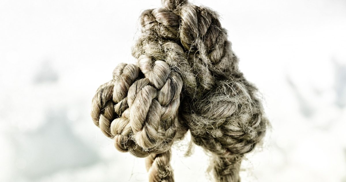 免费代理节点编辑团队成员围坐在长桌前整理节点协议资料，屏幕上并列展示多条代理配置与测速图表，桌面摊开笔记本和马克杯，午后暖光透进窗户，气氛专注务实